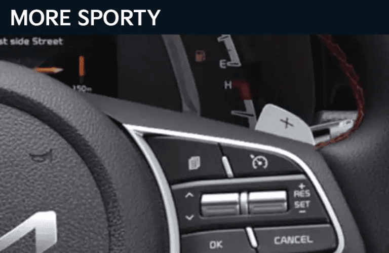 Paddle Shifters help in quick gear shift allowing you to get a more intimate and immersive driving experience